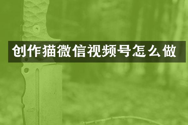 创作猫微信视频号怎么做