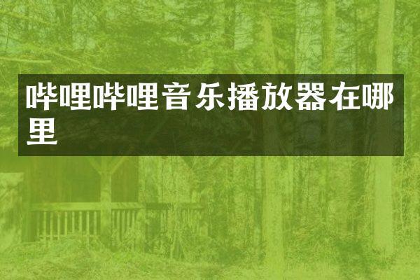 哔哩哔哩音乐播放器在哪里