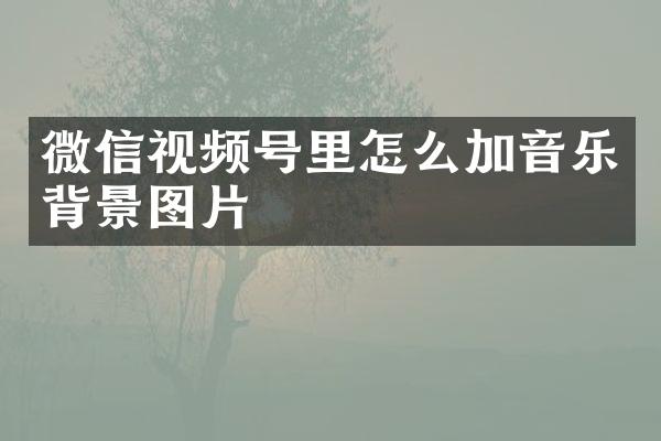 微信视频号里怎么加音乐背景图片