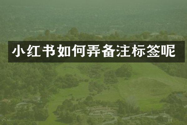 小红书如何弄备注标签呢