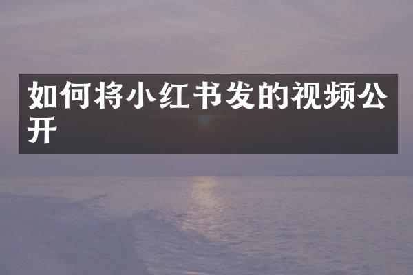 如何将小红书发的视频公开