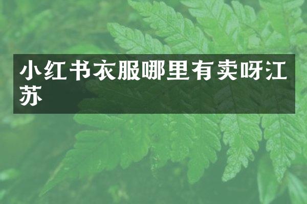 小红书衣服哪里有卖呀江苏