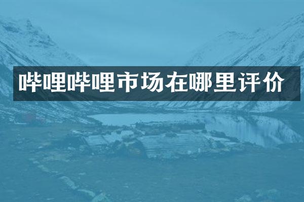 哔哩哔哩市场在哪里评价