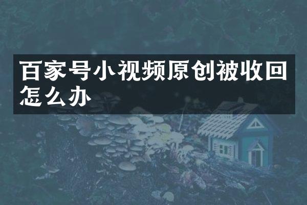 百家号小视频原创被收回怎么办