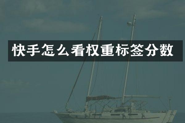 快手怎么看权重标签分数