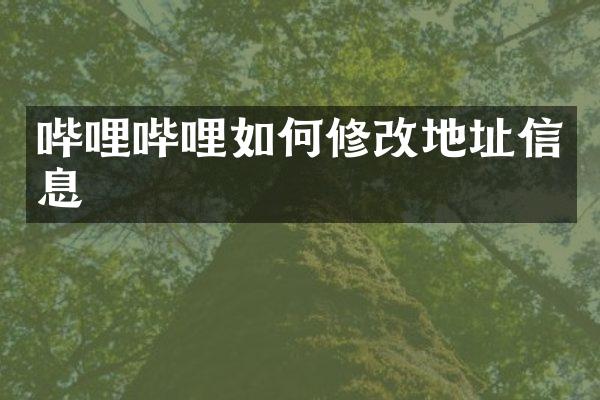 哔哩哔哩如何修改地址信息