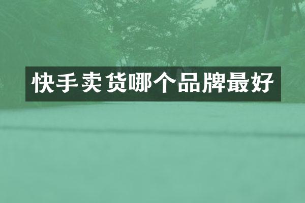 快手卖货哪个品牌最好