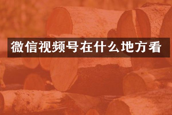 微信视频号在什么地方看