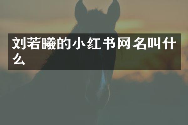刘若曦的小红书网名叫什么
