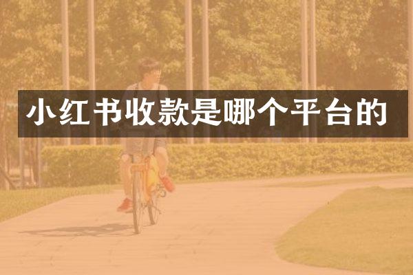 小红书收款是哪个平台的