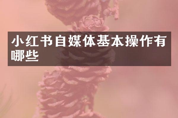 小红书自媒体基本操作有哪些