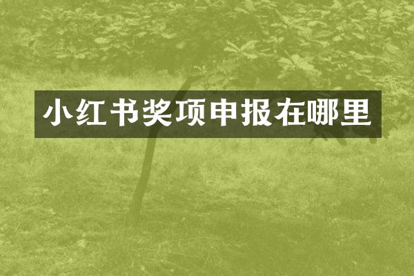 小红书奖项申报在哪里