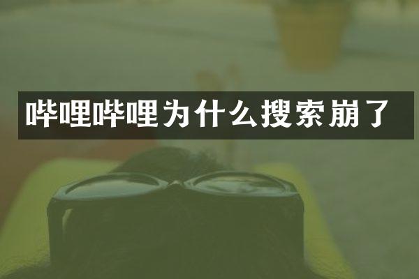 哔哩哔哩为什么搜索崩了