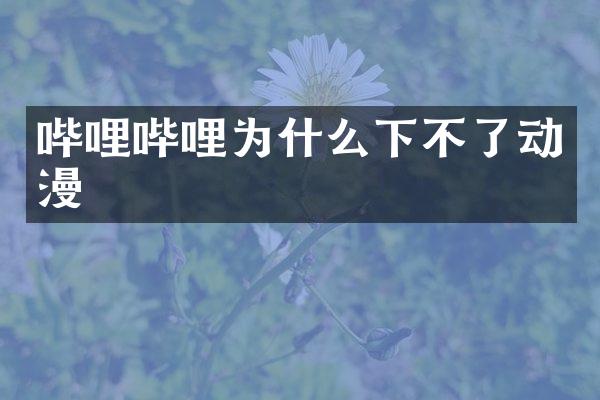 哔哩哔哩为什么下不了动漫