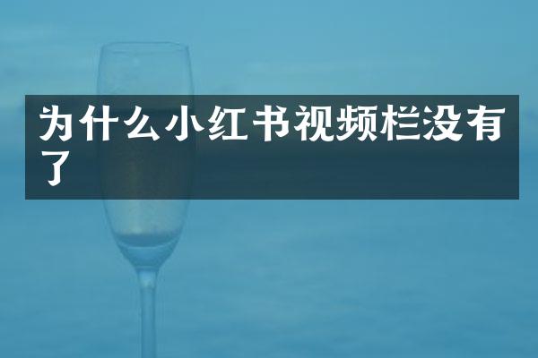 为什么小红书视频栏没有了