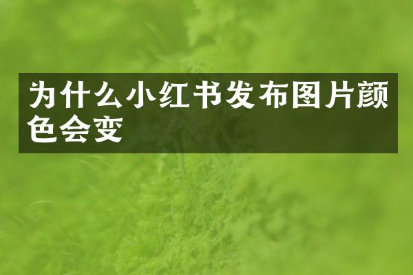 为什么小红书发布图片颜色会变