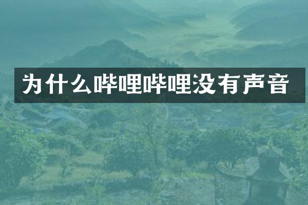 为什么哔哩哔哩没有声音