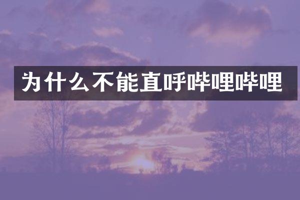 为什么不能直呼哔哩哔哩