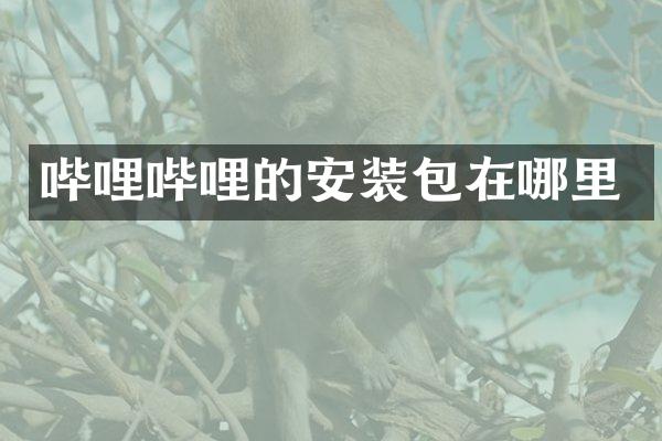 哔哩哔哩的安装包在哪里