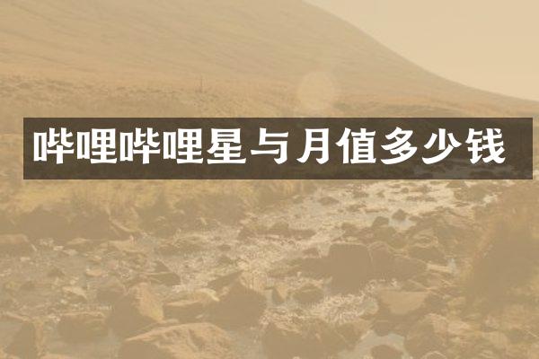 哔哩哔哩星与月值多少钱