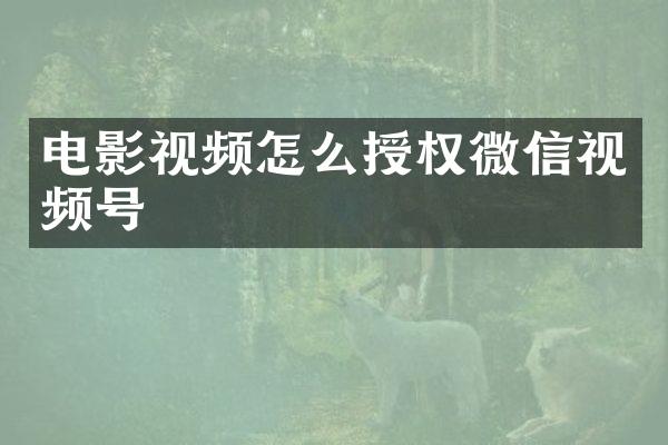 电影视频怎么授权微信视频号