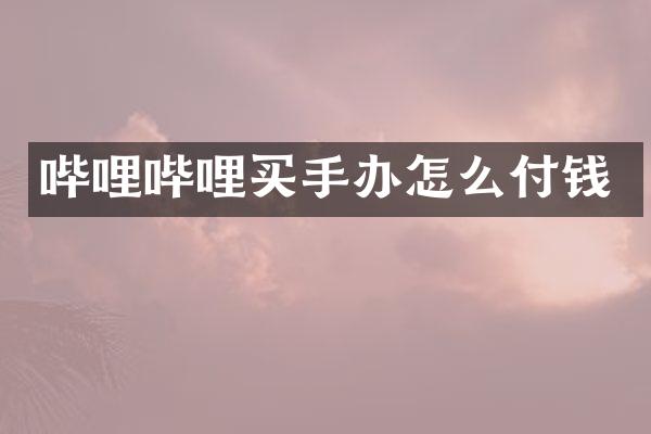 哔哩哔哩买手办怎么付钱