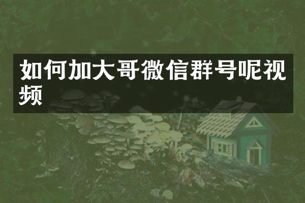 如何加大哥微信群号呢视频