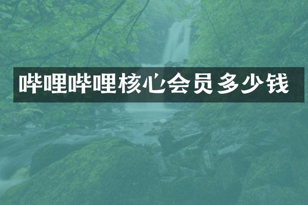 哔哩哔哩核心会员多少钱