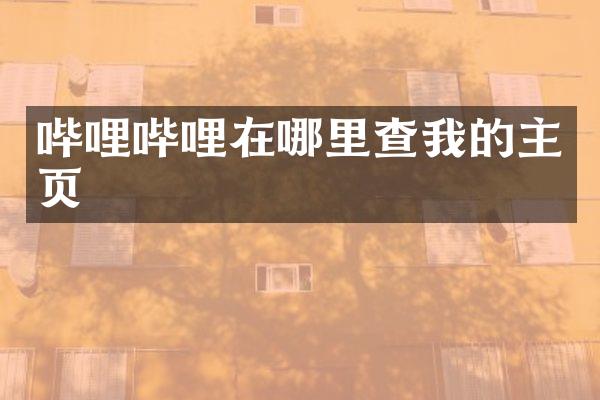哔哩哔哩在哪里查我的主页