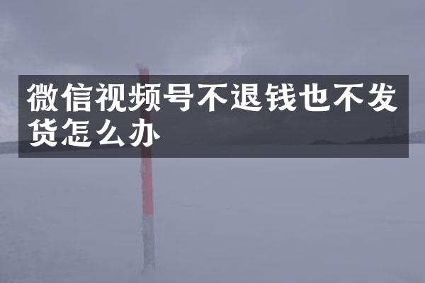 微信视频号不退钱也不发货怎么办