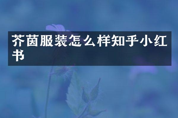 芥茵服装怎么样知乎小红书